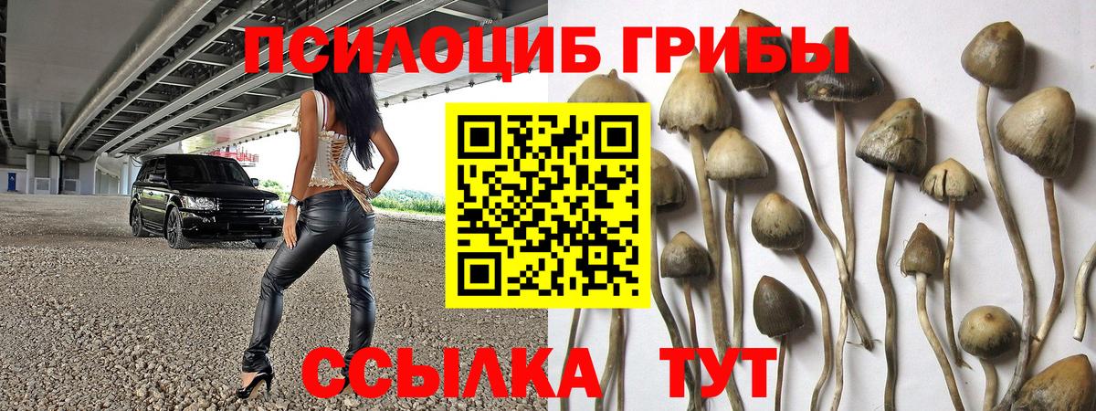 Новоалександровск  Галлюциногенные грибы GOLDEN TEACHER  Галлюциногенные грибы мицелий  Вход с VPN 
